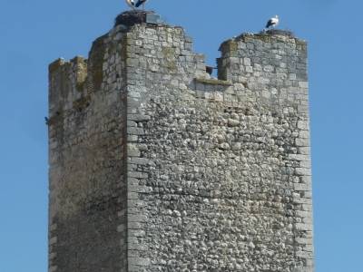 Castillos de Cuellar y Coca - Arte Mudéjar;jerte cerezos en flor viajes febrero foro senderismo mad